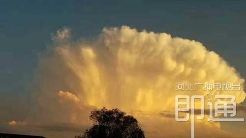 秦皇岛雨后现“巨云” 如同腾起蘑菇云