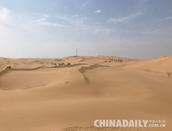 沙漠变绿洲:亿利探索生态致富之路