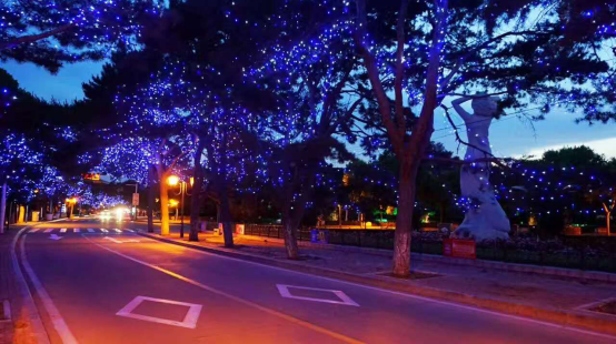 秦皇岛清洁城市创建:全民投入,只为更美生活