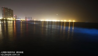 2017年9月17日凌晨，在河北省秦皇岛市金梦海湾浴场拍摄的“荧光海”。