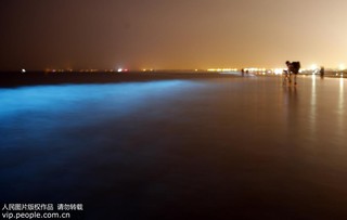 2017年9月17日凌晨，在河北省秦皇岛市金梦海湾浴场拍摄的“荧光海”。