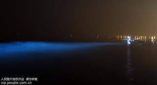 2017年9月17日凌晨，在河北省秦皇岛市金梦海湾浴场拍摄的“荧光海”。